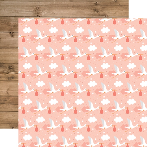 PAQUETE DE PAPEL DECORATIVO - COLECCIÓN COMPLETA - BABY GIRL - Imagen 8