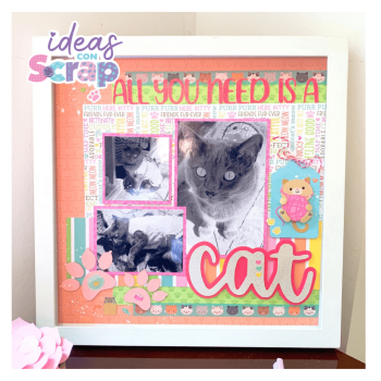 TALLER - LAYOUT CAT **ACCESO A VIDEO TUTORIAL***